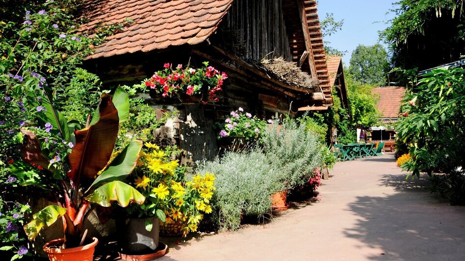 Radfahren Hügel - Tour RA 27 - Touren-Impression #2.2 | © TV Thermen- & Vulkanland 