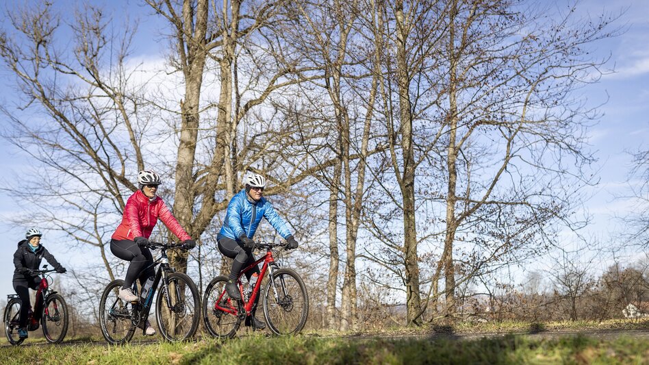 Bike Riding Weitersfeld round (Weitersfeld Runde) - Touren-Impression #2.1 | © Thermen- & Vulkanland