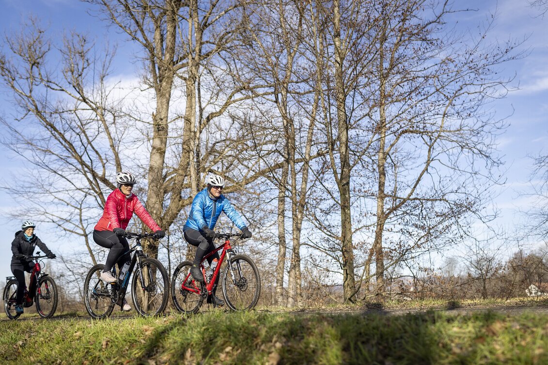 Bike Riding Weitersfeld round (Weitersfeld Runde) - Touren-Impression #1 | © Thermen- & Vulkanland