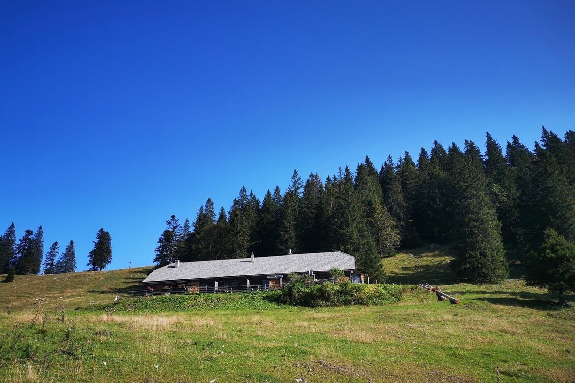 Hiking route Alpine pasture hike Niederalpl - Schöneben - Touren-Impression #1 | © TV Hochsteiermark
