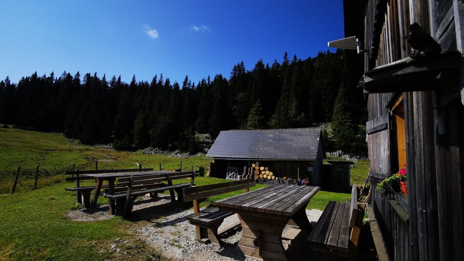 Hiking route Alpine pasture hike Niederalpl - Schöneben - Touren-Impression #2.4 | © TV Hochsteiermark
