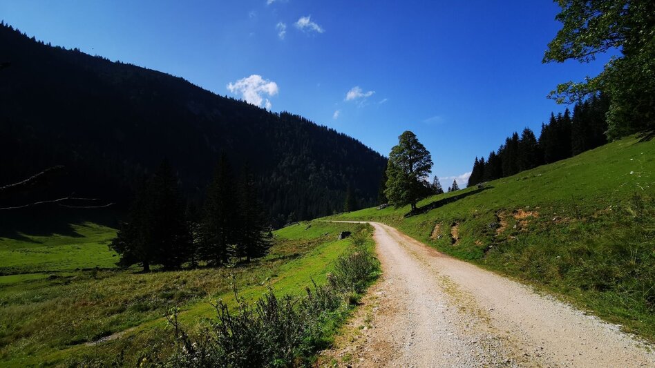 Hiking route Alpine pasture hike Niederalpl - Schöneben - Touren-Impression #2.7 | © TV Hochsteiermark