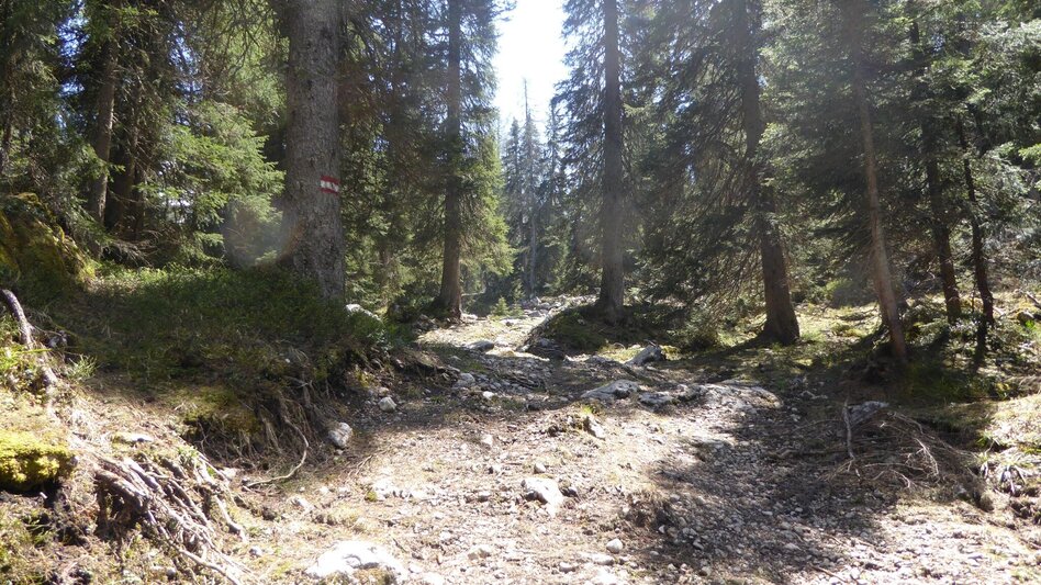 Bergtour Stoderzinken 2.048m, über Öfen und Rotwandschlag - Touren-Impression #2.1 | © Erlebnisregion Schladming-Dachstein