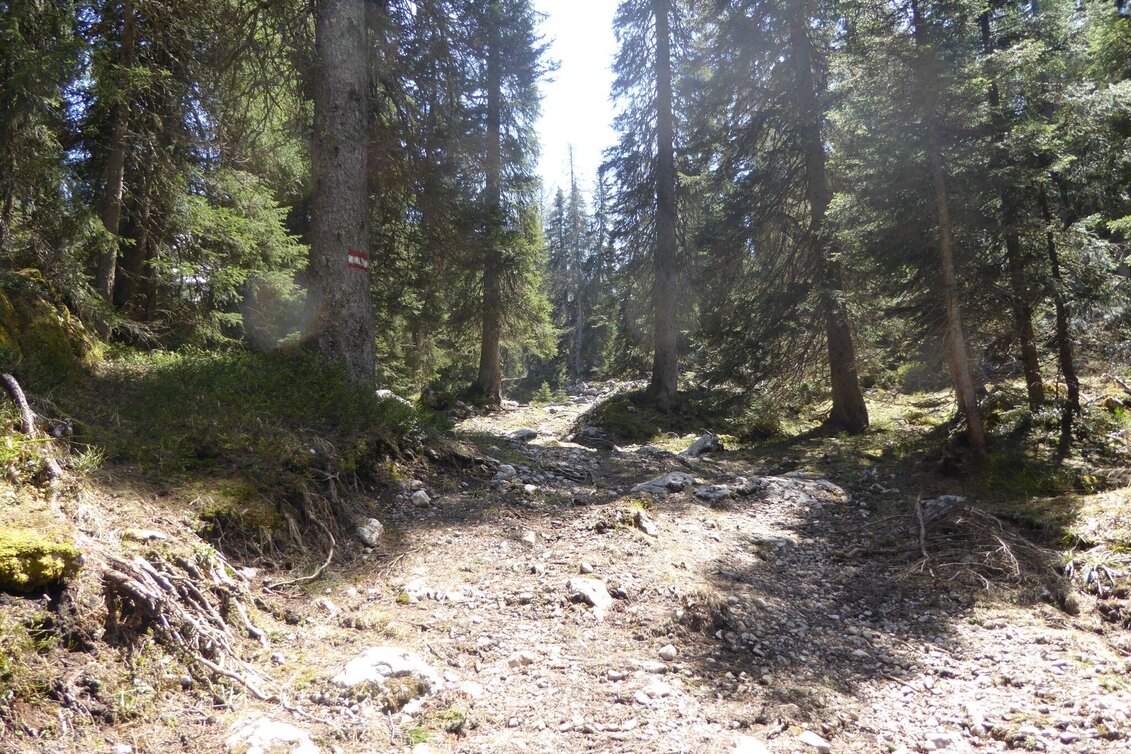 Bergtour Stoderzinken 2.048m, über Öfen und Rotwandschlag - Touren-Impression #1 | © Erlebnisregion Schladming-Dachstein