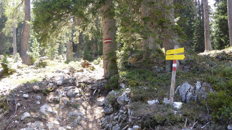 Bergtour Stoderzinken 2.048m, über Öfen und Rotwandschlag - Touren-Impression #2.2 | © Erlebnisregion Schladming-Dachstein