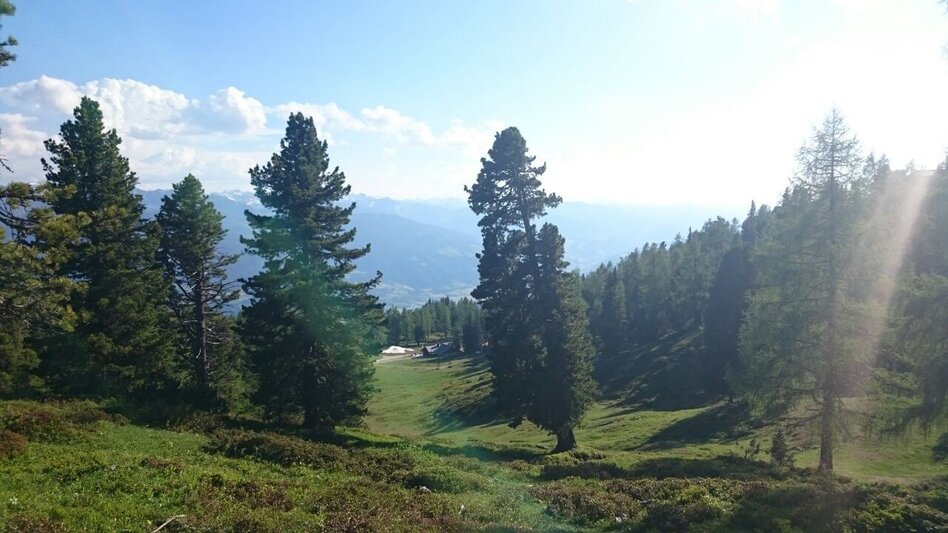 Bergtour Stoderzinken 2.048m, über Öfen und Rotwandschlag - Touren-Impression #2.8 | © Erlebnisregion Schladming-Dachstein