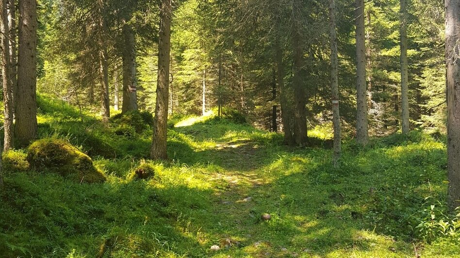 Bergtour Stoderzinken 2.048m, über Öfen und Rotwandschlag - Touren-Impression #2.13 | © Erlebnisregion Schladming-Dachstein
