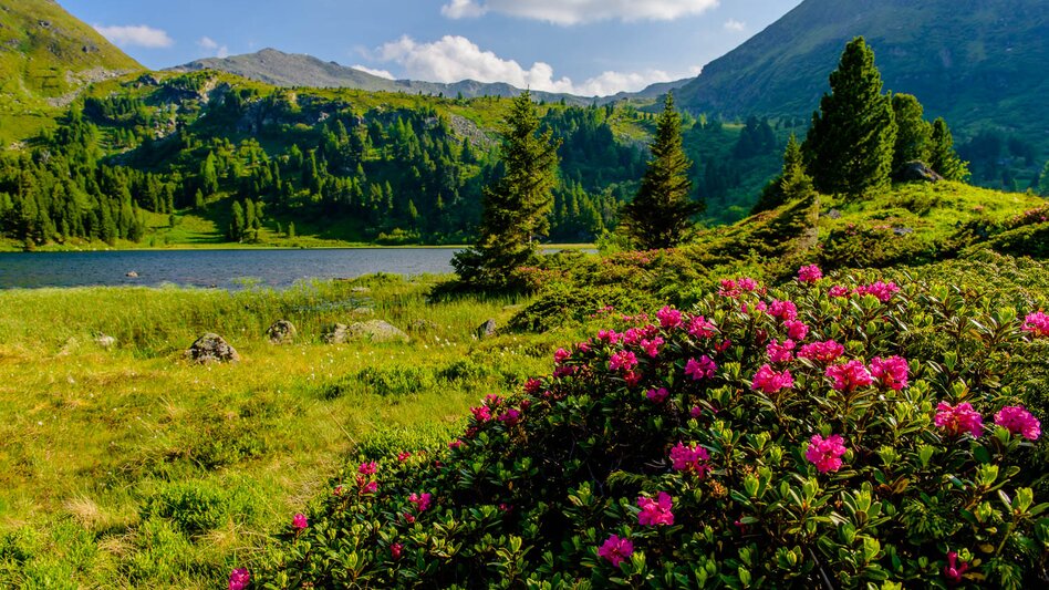 Hiking route From the Sabathy via the Winterleiten to the Zirbitzkogel - Touren-Impression #2.2 | © Erlebnisregion Murtal