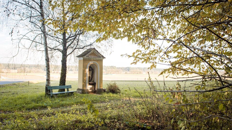 Hiking route Nature tour (Nat(o)ur) - Touren-Impression #2.5 | © Kurkommission Bad Blumau