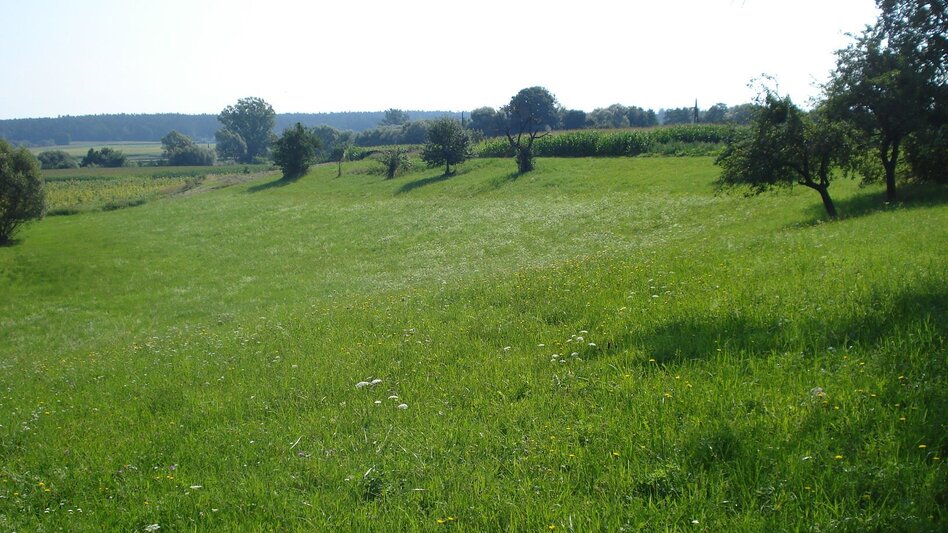 Hiking route Nature tour (Nat(o)ur) - Touren-Impression #2.11 | © Kurkommission Bad Blumau