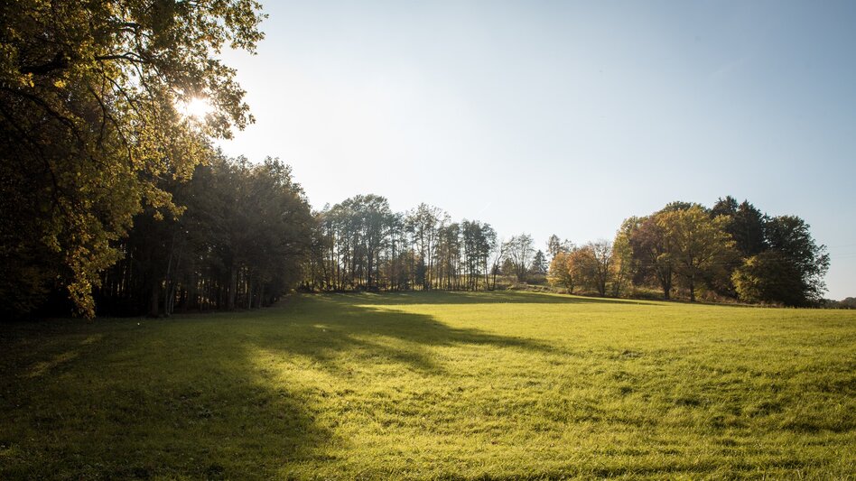 Hiking route Nature tour (Nat(o)ur) - Touren-Impression #2.2 | © Kurkommission Bad Blumau