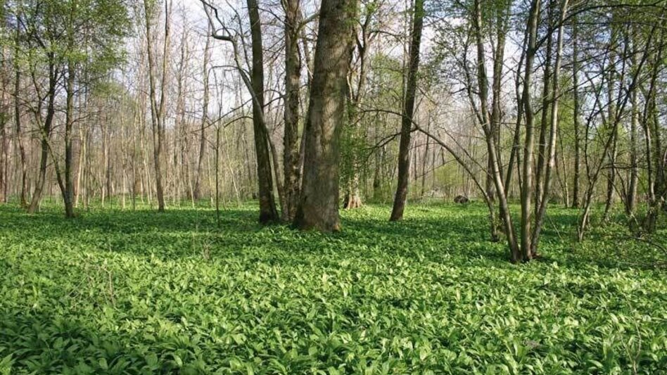 Bike Riding Partner-Tour - Touren-Impression #2.2 | © Thermen- & Vulkanland