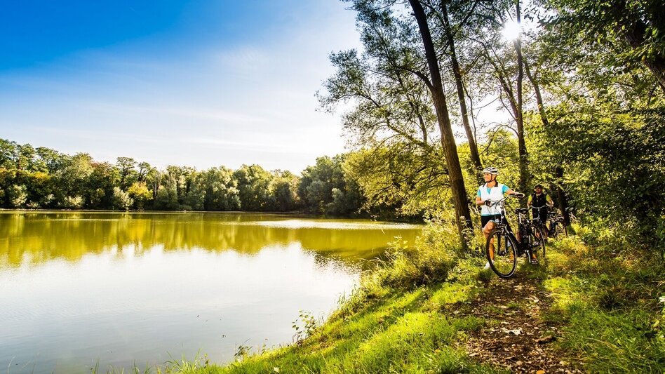 Bike Riding Partner-Tour - Touren-Impression #2.3 | © Thermen- & Vulkanland