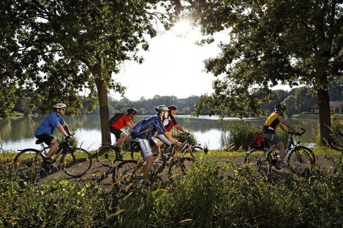 Bike Riding Three country nature park round (Dreiländer Naturpark Runde) - Touren-Impression #1 | © Thermen- & Vulkanland