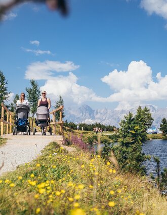 Kinderwagen Rundweg Reiteralm | Gerhard Pilz | © Reiteralm Bergbahnen - Gerald Grünwald