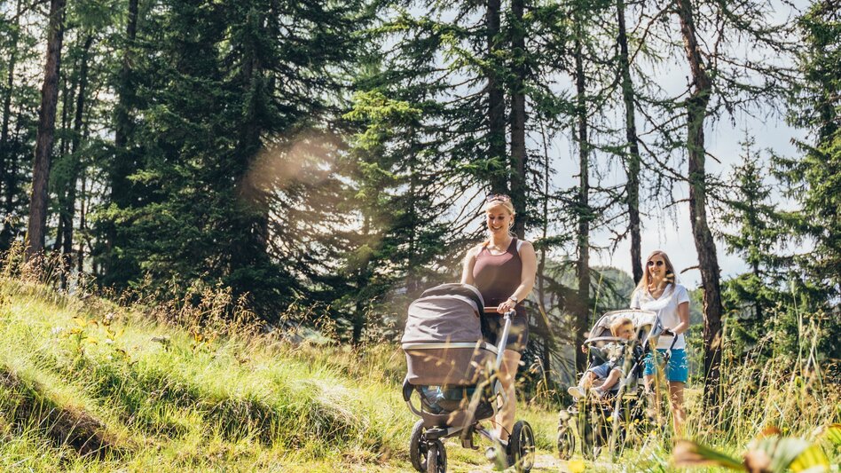 Promenade routes Stroller Trail Reiteralm - Touren-Impression #2.5 | © Reiteralm Bergbahnen - Gerald Grünwald