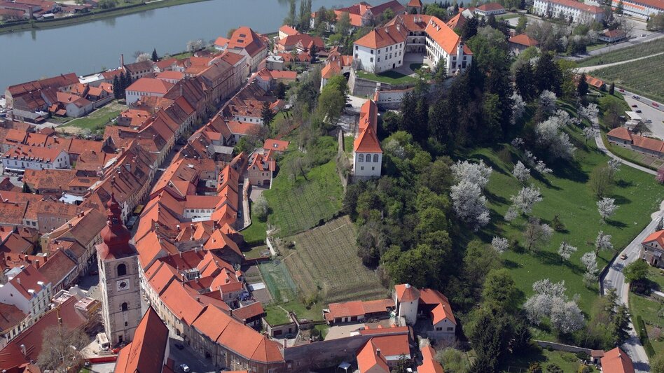 Radfahren Ptuj-Tour - Touren-Impression #2.1 | © Pokrajinski muzej Ptuj Ormož