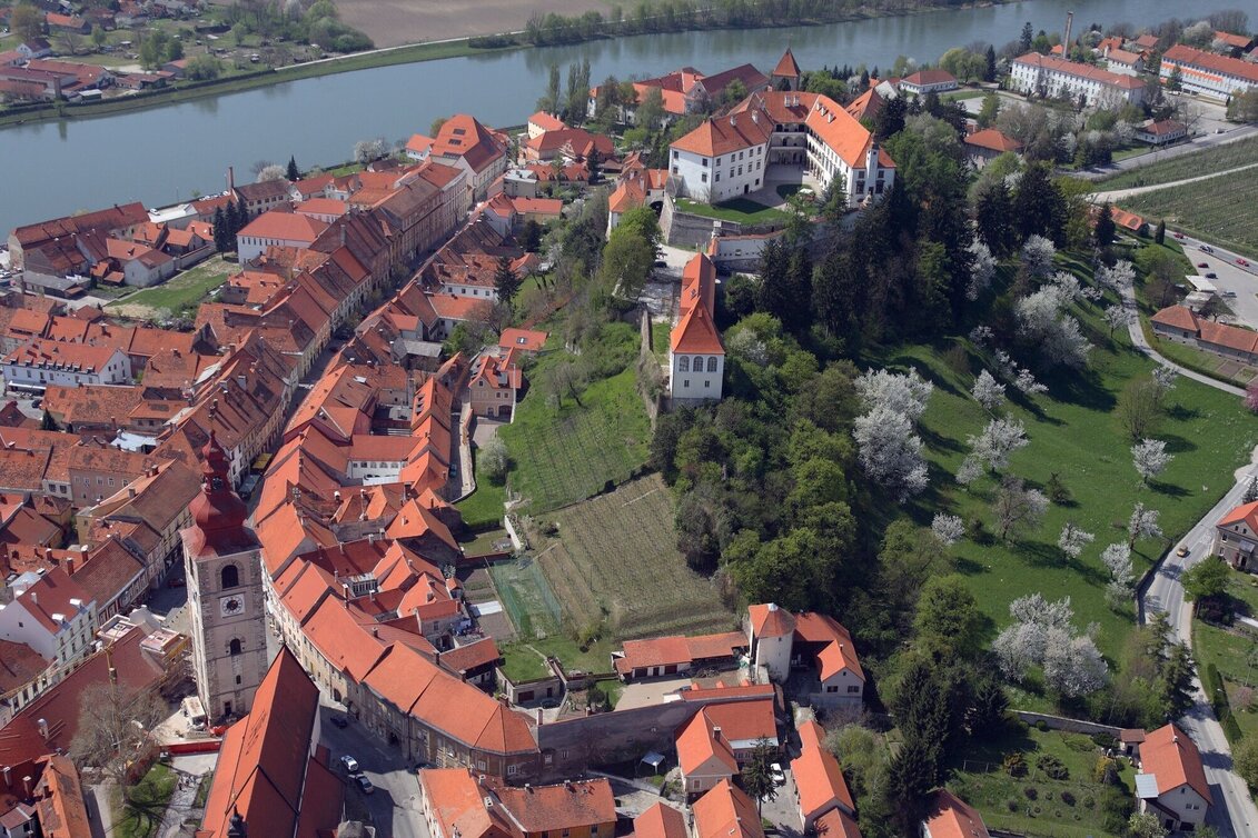 Radfahren Ptuj-Tour - Touren-Impression #1 | © Pokrajinski muzej Ptuj Ormož