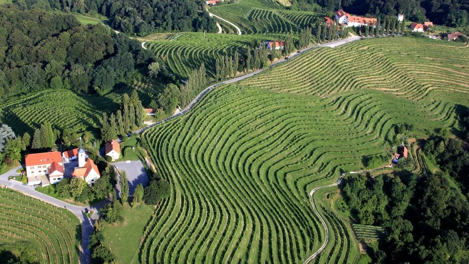Radfahren Jeruzalem-Tour - Touren-Impression #2.1 | © Jeruzalem Slovenija