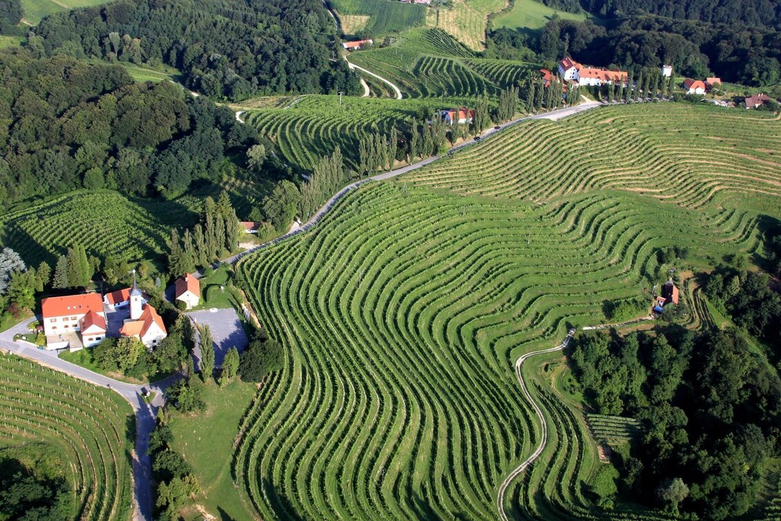 Radfahren Jeruzalem-Tour - Touren-Impression #1 | © Jeruzalem Slovenija
