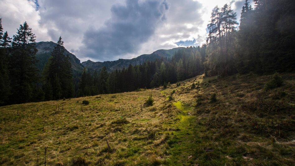 Hiking route From Reiteralm to Pichl - Touren-Impression #2.5 | © Gerhard Pilz - www.gpic.at