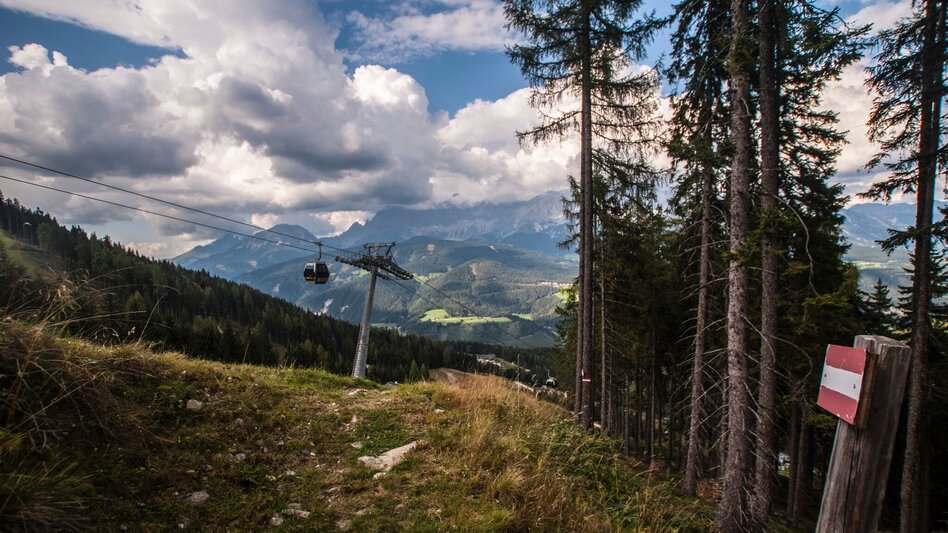 Hiking route From Reiteralm to Pichl - Touren-Impression #2.6 | © Gerhard Pilz - www.gpic.at