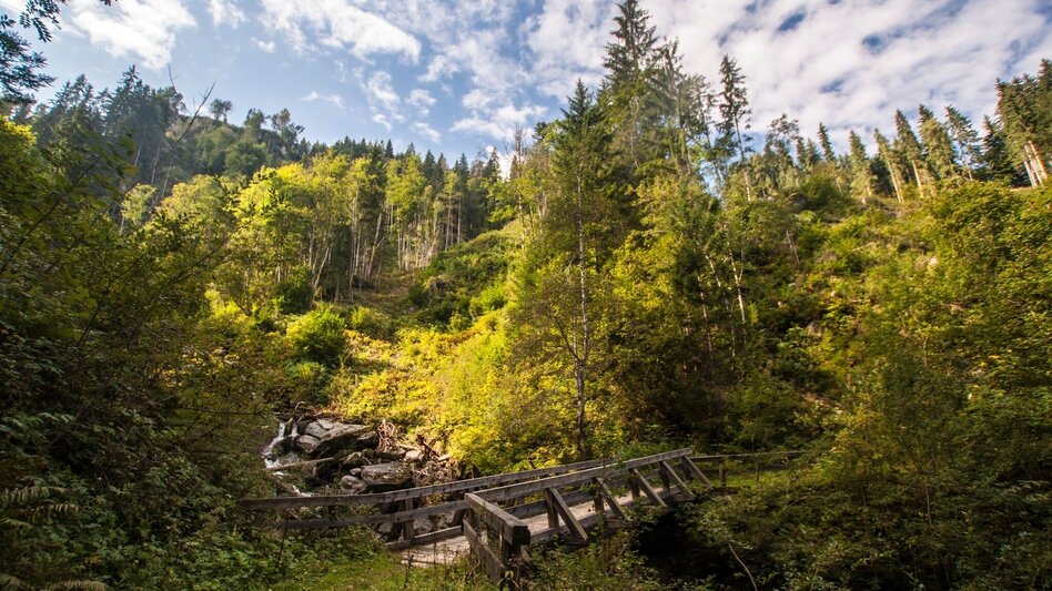 Hiking route From Reiteralm to Pichl - Touren-Impression #2.8 | © Gerhard Pilz - www.gpic.at