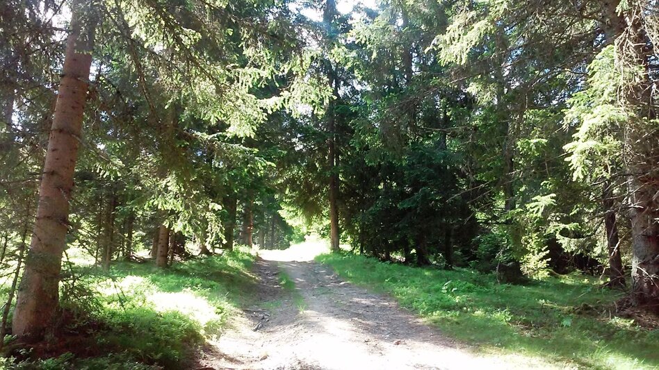 Mountain Hike Kochofen (1,920m), round trip via the Schladming Alm - Touren-Impression #2.2 | © Erlebnisregion Schladming-Dachstein