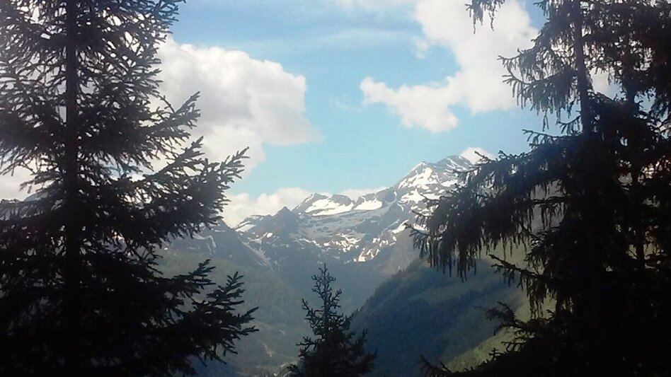 Mountain Hike Kochofen (1,920m), round trip via the Schladming Alm - Touren-Impression #2.3 | © Erlebnisregion Schladming-Dachstein
