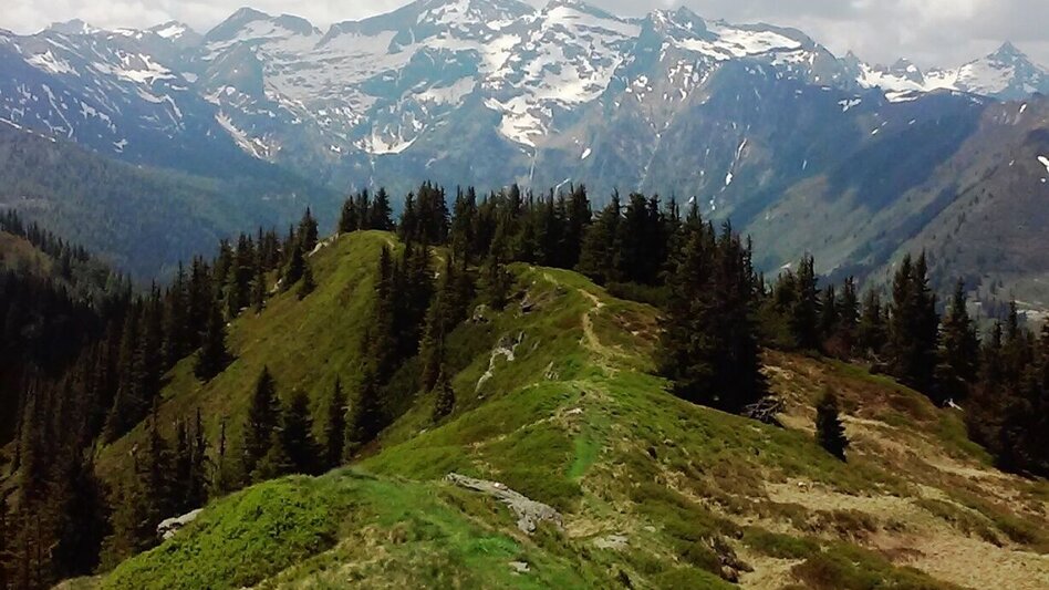 Mountain Hike Kochofen (1,920m), round trip via the Schladming Alm - Touren-Impression #2.13 | © Erlebnisregion Schladming-Dachstein