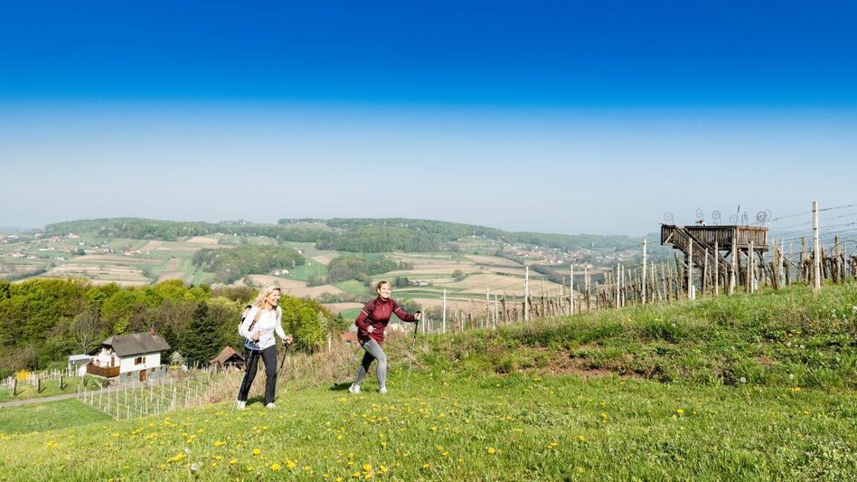 Hiking route The canticle of the sun path (Sonnengesangsweg) - Touren-Impression #2.4 | © Erlebnisregion Thermen- & Vulkanland
