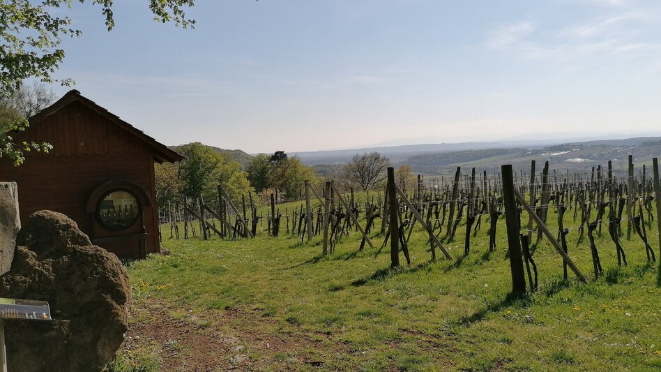 Hiking route The canticle of the sun path (Sonnengesangsweg) - Touren-Impression #2.5 | © Thermen- & Vulkanland