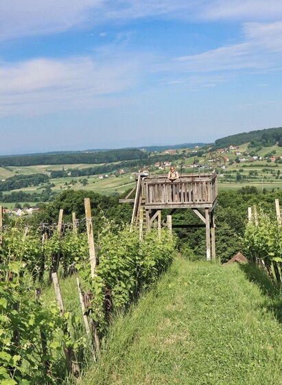 Aussichtsplattform | © Thermen- & Vulkanland | Weges OG | © Thermen- & Vulkanland