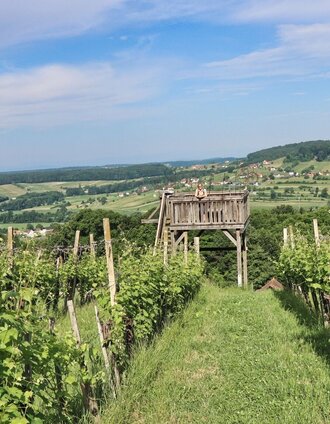 Aussichtsplattform | Weges OG | © Thermen- & Vulkanland