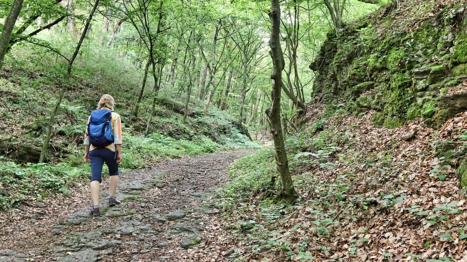 Hiking route TAU - path of the vineyards (TAU - Weg der Riede) - Touren-Impression #2.5 | © Thermen- & Vulkanland