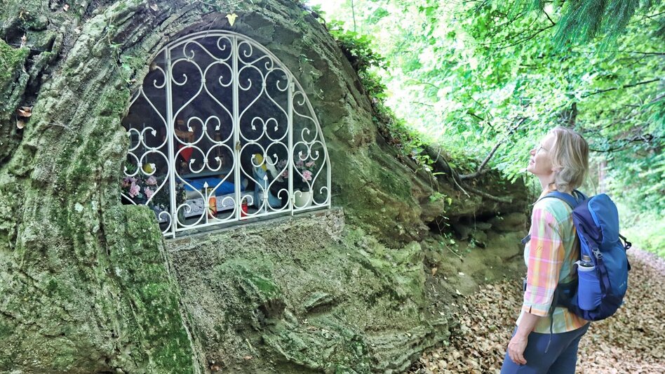 Hiking route TAU - path of the vineyards (TAU - Weg der Riede) - Touren-Impression #2.6 | © Thermen- & Vulkanland