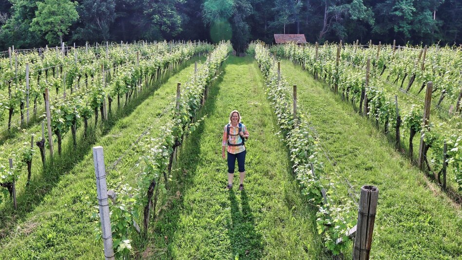 Hiking route TAU - path of the vineyards (TAU - Weg der Riede) - Touren-Impression #2.8 | © Thermen- & Vulkanland