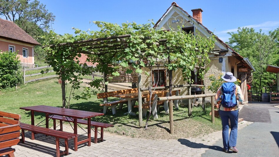 Hiking route TAU - path of the vineyards (TAU - Weg der Riede) - Touren-Impression #2.13 | © Thermen- & Vulkanland