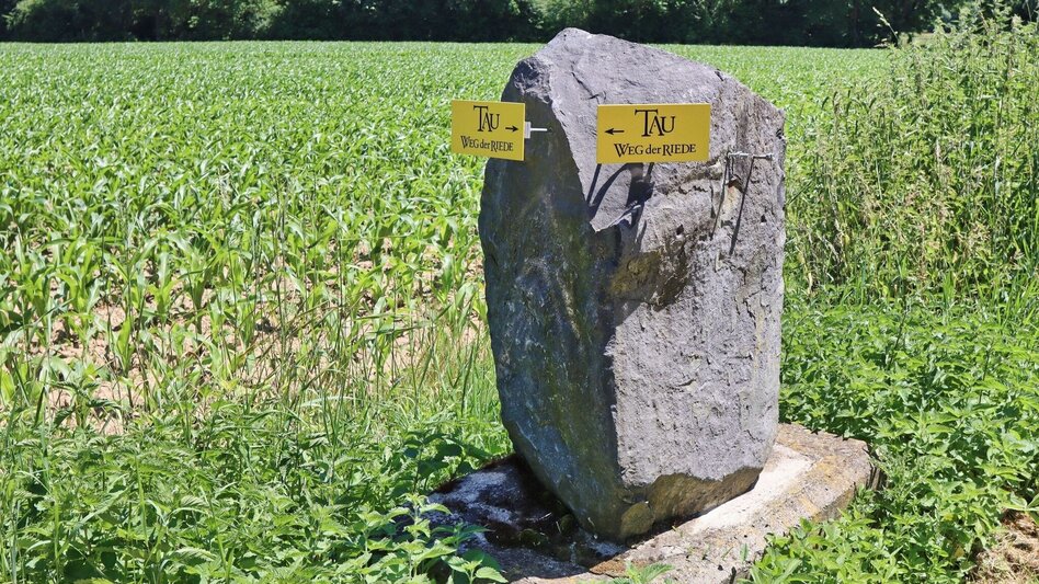 Hiking route TAU - path of the vineyards (TAU - Weg der Riede) - Touren-Impression #2.16 | © Thermen- & Vulkanland