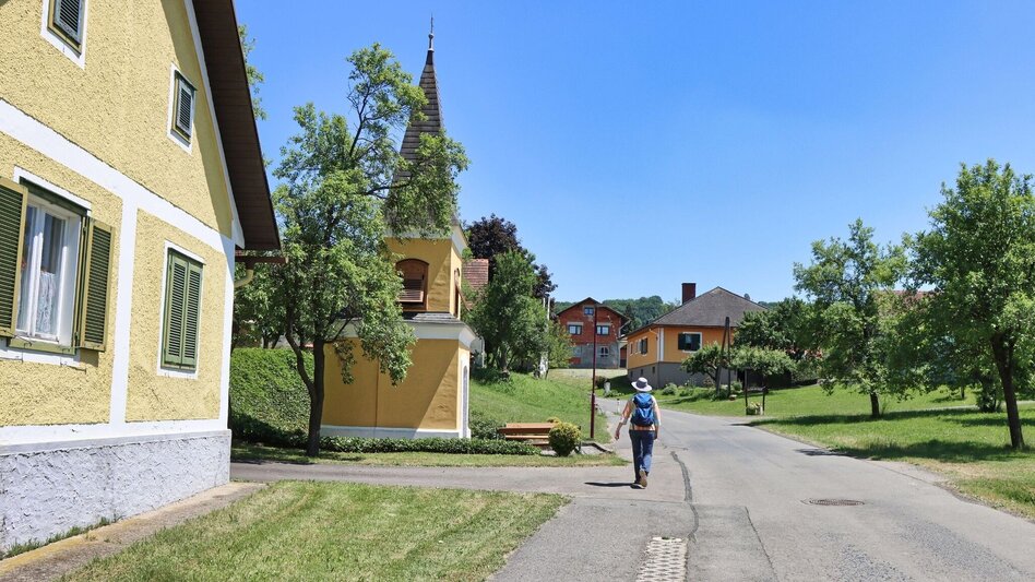 Hiking route TAU - path of the vineyards (TAU - Weg der Riede) - Touren-Impression #2.17 | © Thermen- & Vulkanland