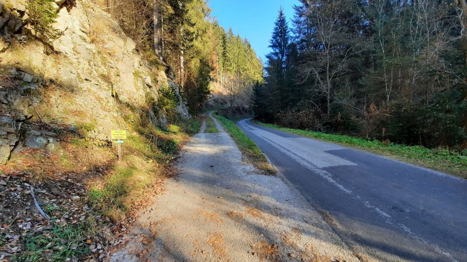 Hiking route Steinplan via Oberkamper - Touren-Impression #2.4 | © WEGES OG