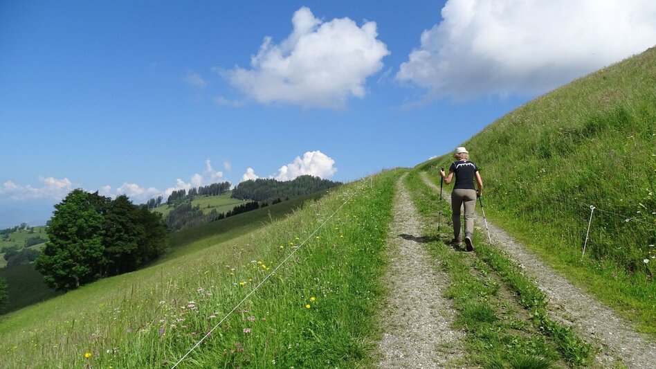 Hiking route Steinplan via Oberkamper - Touren-Impression #2.7 | © WEGES OG