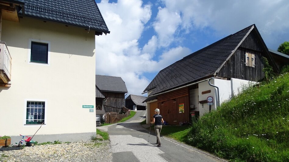 Hiking route Steinplan via Oberkamper - Touren-Impression #2.8 | © WEGES OG
