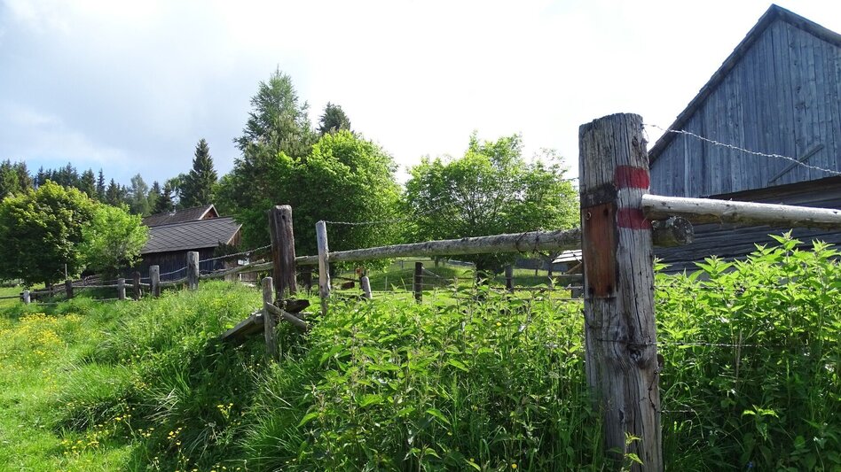 Hiking route Steinplan via Oberkamper - Touren-Impression #2.9 | © WEGES OG