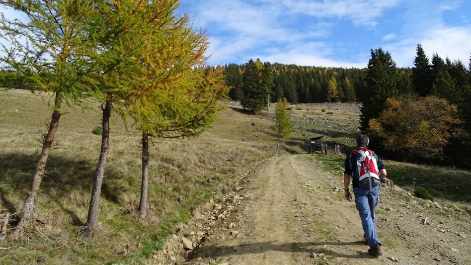 Hiking route Steinplan via Oberkamper - Touren-Impression #2.10 | © WEGES OG