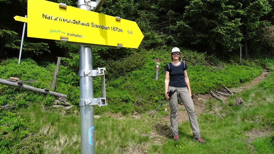 Hiking route Steinplan via Oberkamper - Touren-Impression #2.11 | © WEGES OG