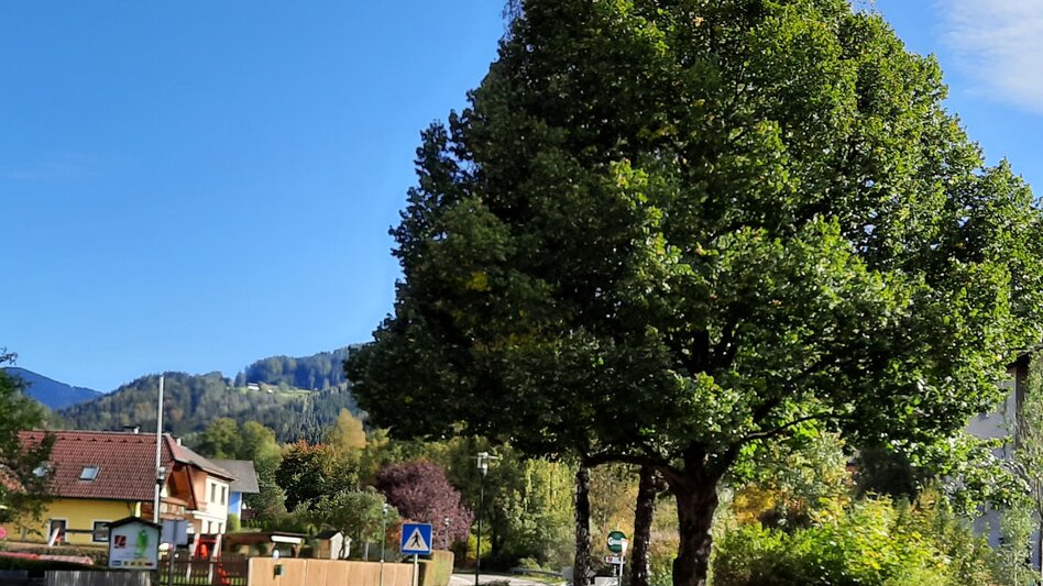 Genusswege Sonnseiten Rundwanderweg - Touren-Impression #2.1 | © WEGES OG