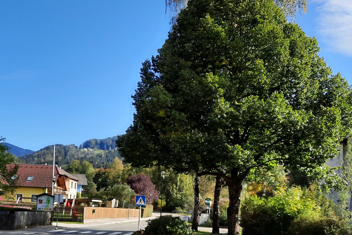 Genusswege Sonnseiten Rundwanderweg - Touren-Impression #1 | © WEGES OG