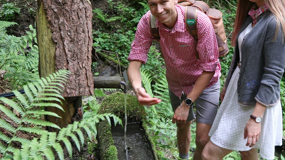 Genusswege Sonnseiten Rundwanderweg - Touren-Impression #2.9 | © WEGES OG