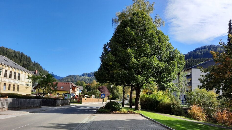 Wanderung Tobiasalm Kleinlobming - Touren-Impression #2.1 | © WEGES OG